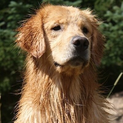 Profile Picture of Benjamin Lester (@Benjamin_Lester) on Twitter