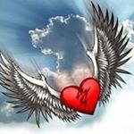 Profile Picture of Darwin Saravia (@saravia.darwin) on Instagram