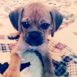 Profile Picture of Dixie Lane Sims (@dixie_lane13) on Instagram