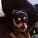 Profile Picture of David Swayze (@david.swayze.18) on Facebook