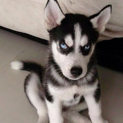 Lacey Mae Freeman - Twitter Profile Picture of Lacey Mae Freeman (@MaeSoccer) on Twitter