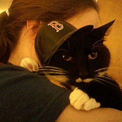 Profile Picture of Macy Davis (@Macy_the_cat) on Twitter