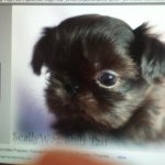 Profile Picture of mavis_paul (@mavis_paul) on Instagram