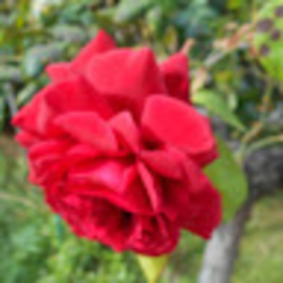 Profile Picture of Marin Pitzner (@marinpitzner) on Poshmark