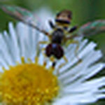 Profile Picture of James Vinson (@jpvinson) on Flickr