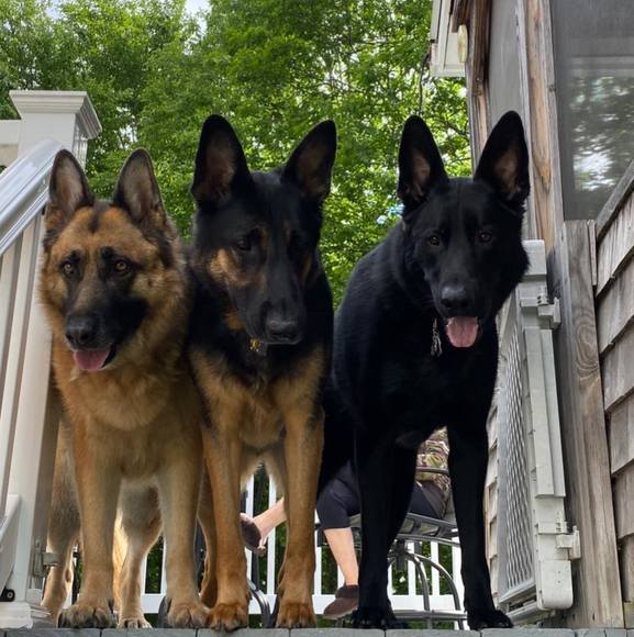 Profile Picture of Janice Libby (@jlibby217) on Poshmark