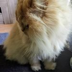 Profile Picture of Jessica Plöger (@jessiinthesun) on Instagram