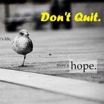 Profile Picture of Sean Pepin (@seanpepin) on Instagram