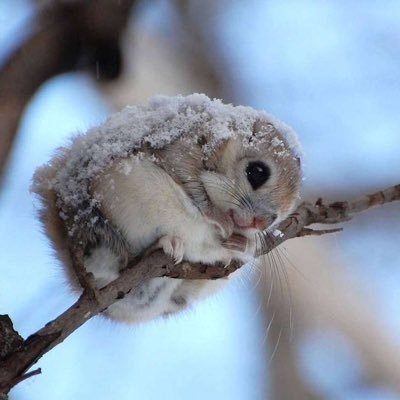 2min0 - Twitter Profile Picture of 2min0 (@janicemin) on Twitter