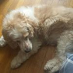 Profile Picture of Nancy Irving Fraser (@nancyirvingfraser) on Instagram