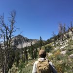 Profile Picture of Daniel Halcomb (@halcombswanderings) on Instagram