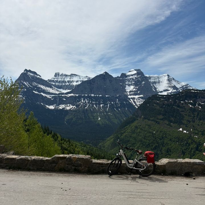 Profile Picture of Leo (@leo_fellman) on Tiktok