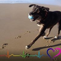 Profile Picture of Julian Johnson (@julian-johnson-73) on Quora