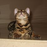 Profile Picture of David Geddes (@david.geddes.98622) on Instagram