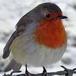 Profile Picture of Darryl waller (@darrylwaller9192) on Instagram