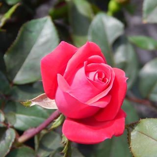 Profile Picture of Jaime LaBine (@jaime.labine) on Facebook