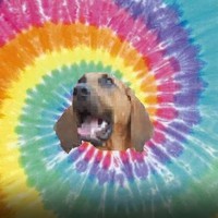 Profile Picture of Steve Hynes (@steve-hynes-12) on Quora