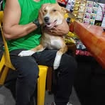 Profile Picture of Amil Notor (@Amil-Notor) on Facebook