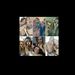 Profile Picture of Sam Marsala (@sam_marsala) on Pinterest