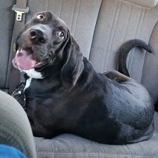 Profile Picture of Lucas Grothaus (@Rdnckfarmboy) on Twitter