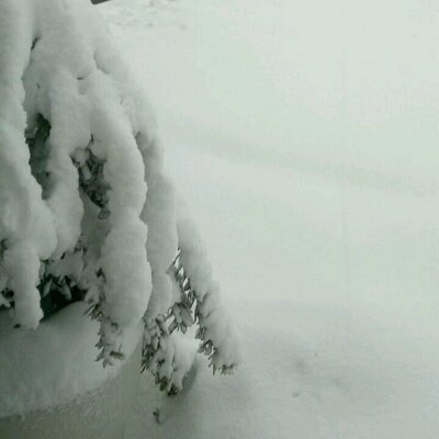 Profile Picture of Salvatore Marchese (@8a8a699344664b7) on Twitter