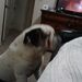 Profile Picture of brian shultz (@brian06840142) on Pinterest