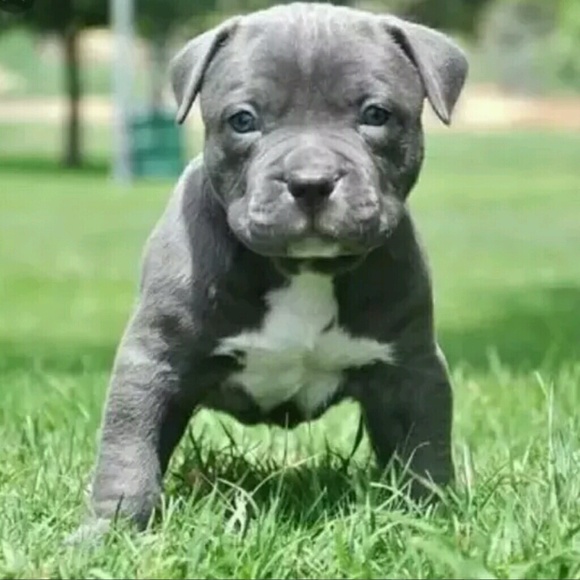 Profile Picture of Deja Mccullum (@vez_21) on Poshmark