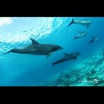 Profile Picture of James O'Donnell (@odonnell2579) on Instagram