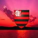Profile Picture of samuca urso (@samucau) on Pinterest