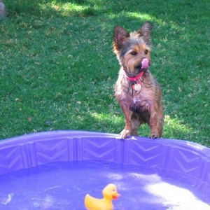 Profile Picture of Eileen Haskell (@eileenandbobby) on Myspace