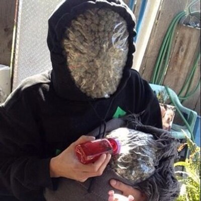 Steven Castaldo - Twitter Profile Picture of Steven Castaldo (@stevenl4l) on Twitter