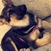 Profile Picture of Jasjit Gill (@gilljasjit25) on Pinterest
