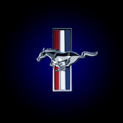 Profile Picture of Matthew Pastrana (@matthewpastrana4961) on Youtube