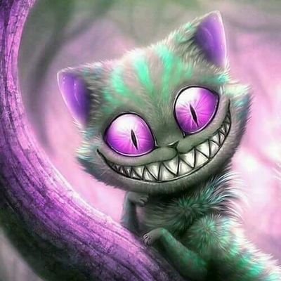 Profile Picture of Dawn Blakely (@DawnBlakely3) on Twitter