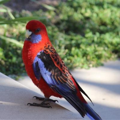 Profile Picture of Peter Blackman (@petercblackm) on Twitter