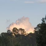 Profile Picture of Richard Mason (@hacklepamela) on Instagram