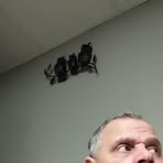 Tony Langevin - Facebook Profile Picture of Tony Langevin (@tony.langevin.54) on Facebook