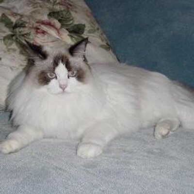 Profile Picture of Karen Stoner (@KarenStoner2) on Twitter