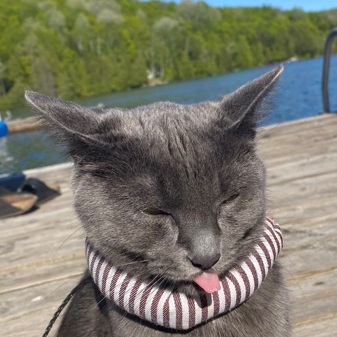 Profile Picture of Julia (@juliaadunlop) on Tiktok