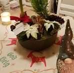 Profile Picture of Lena LannerusDimming (@lenalannerusdimming.lannerusdimming) on Facebook