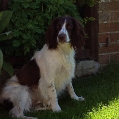 Profile Picture of robert mabin (@jaffamab) on Twitter