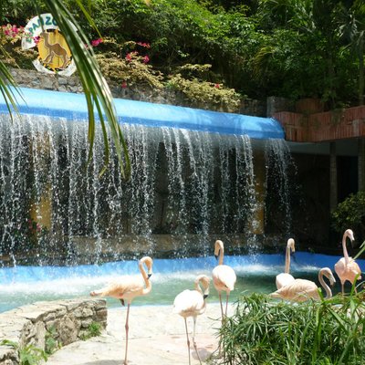 Profile Picture of Andreina Ramirez (@adramirez17) on Twitter