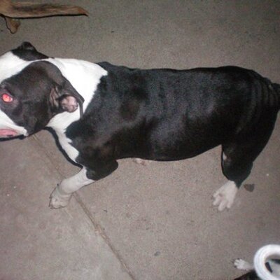 Profile Picture of Derek Fillmore (@dereknofiller) on Twitter