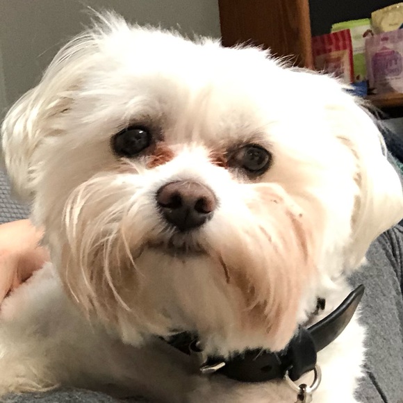 Profile Picture of Kimberly Tolosa (@kccam1211) on Poshmark