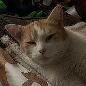 Profile Picture of James Lanthier (@idfiusi2378) on Youtube