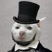 Profile Picture of Andrew (@cochraneand) on Pinterest