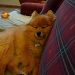 Profile Picture of Kevin Bodnar (@kevin_bodnar) on Instagram