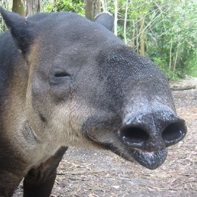 Profile Picture of Matt McTeer (@MattMcTeer) on Twitter