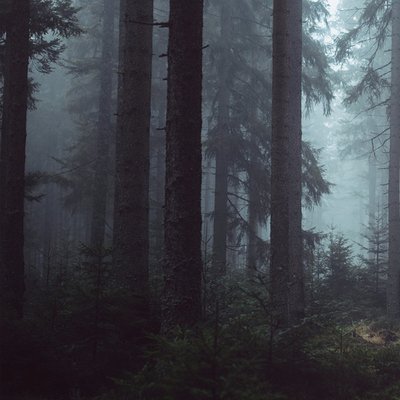 Profile Picture of Josh (@JoshNevin) on Twitter