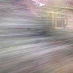 Profile Picture of Sean Monroe (@101mack101) on Instagram